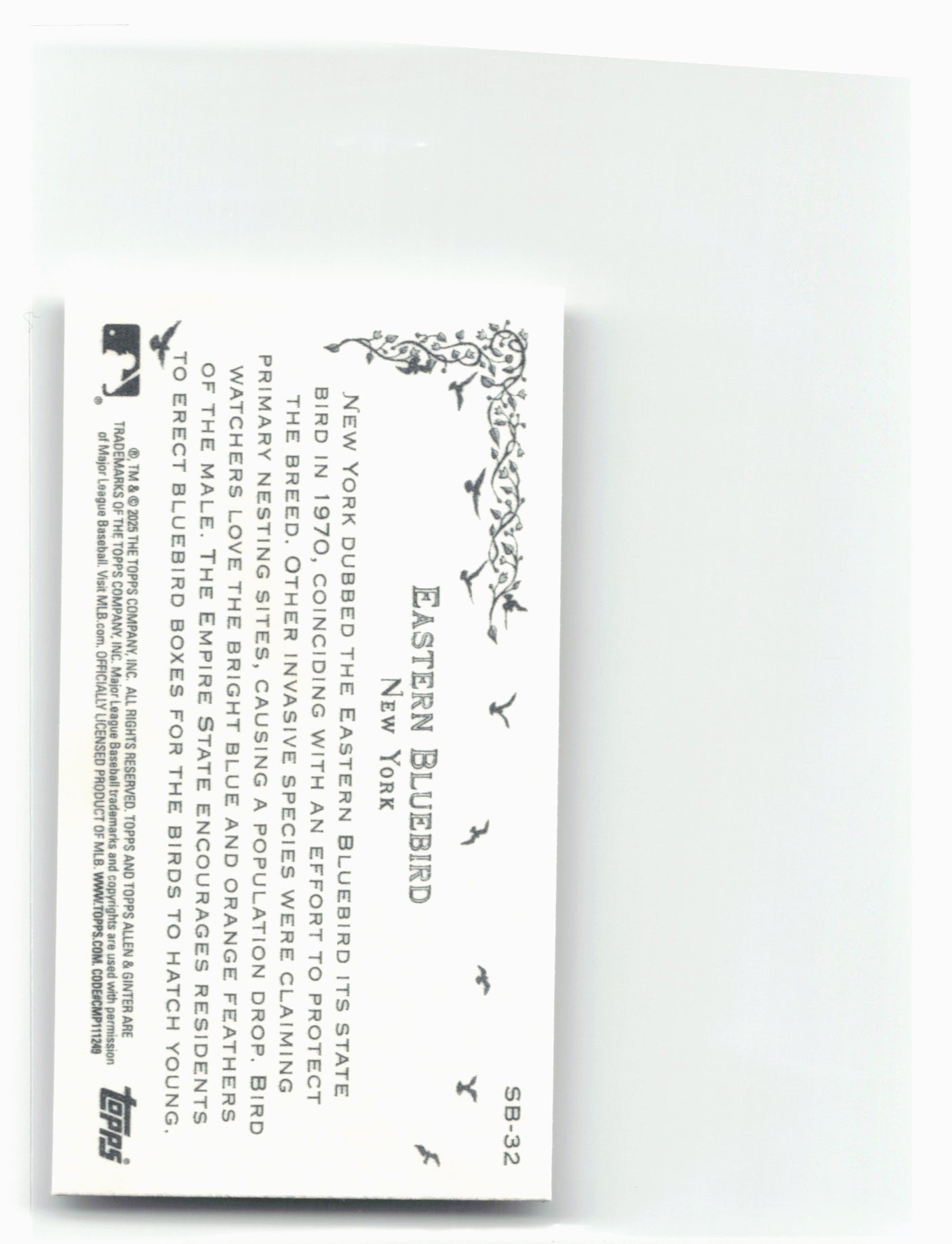 2025 Topps Allen & Ginter #SB-32 Eastern Bluebird (New York) State Birds Mini