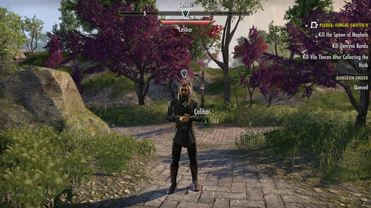 The Elder Scrolls Online: Summerset | Xbox One | gameplay screenshot | Data by MobyGames.com