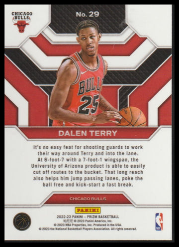 2022-23 Panini Prizm #29 Dalen Terry Emergent
