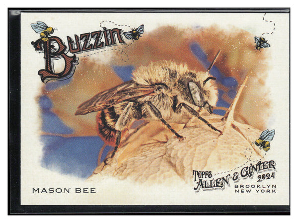 2024 Topps Allen & Ginter #BUZ-10 Mason Bee Buzzin'