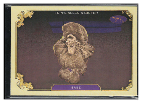 24 Allen & Ginter #SOS-35 Sage Stars Of The Show The Westminster Kennel Club