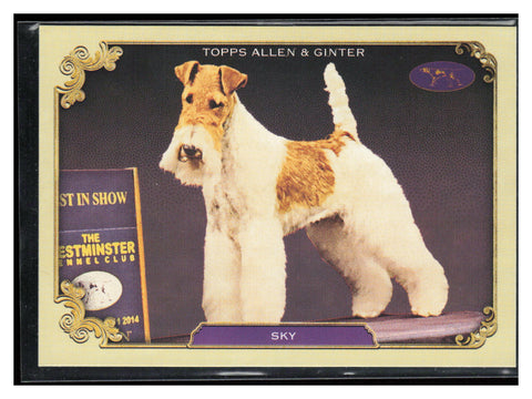 24 Allen & Ginter #SOS-19 Sky Stars Of The Show The Westminster Kennel Club