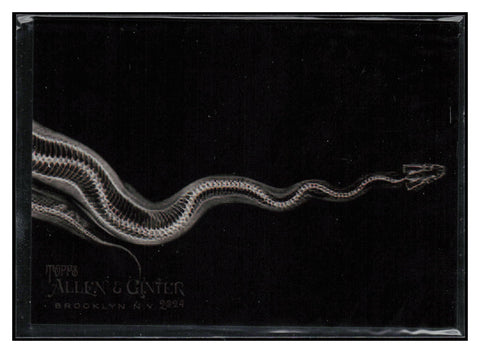 2024 Topps Allen & Ginter #XR-5 Ball Python X-ray'd