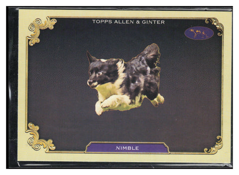 24 Allen & Ginter #SOS-34 Nimble Stars Of The Show The Westminster Kennel Club