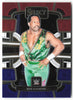 2024 Panini Select WWE #15 Ron Simmons Red and Blue