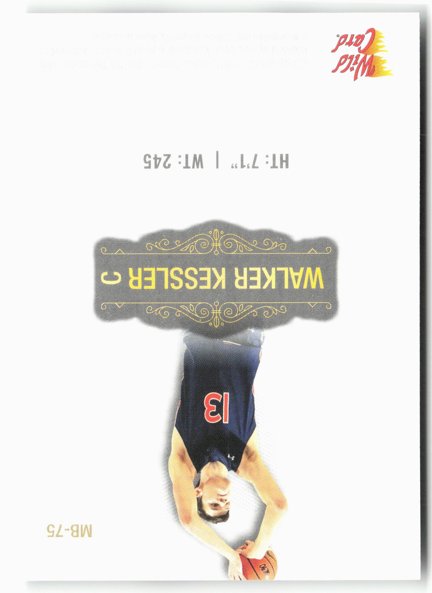 2022 Wild Card Matte #MB-75 Walker Kessler