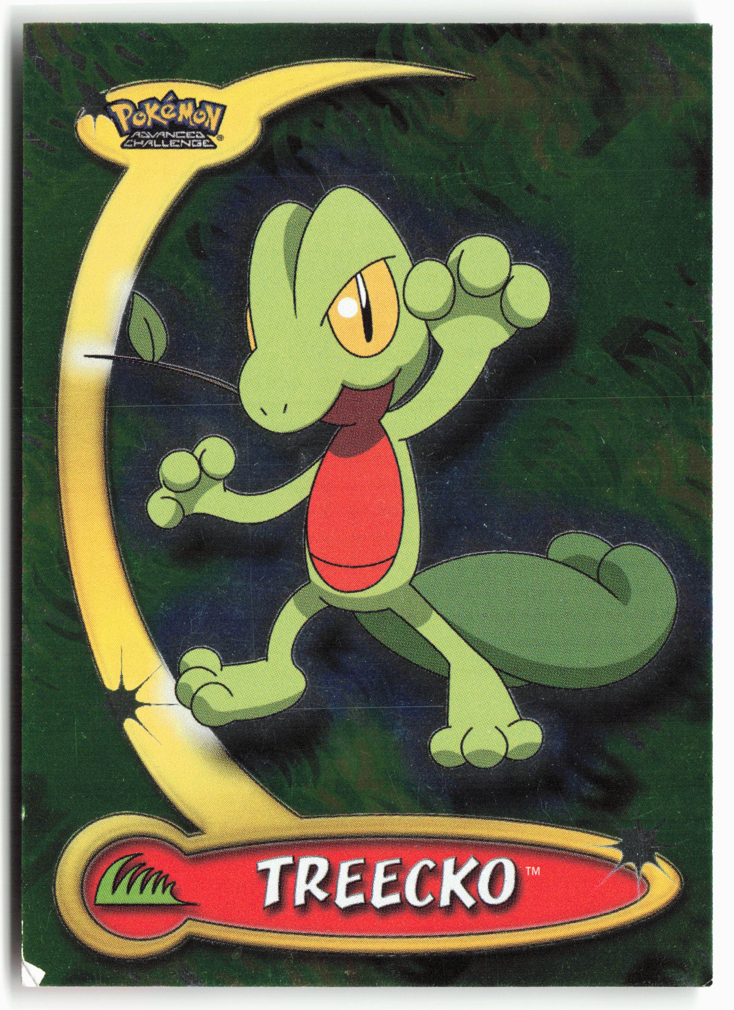 Advanced Challenge #79 Treecko Pokémon - Holo - clyjm