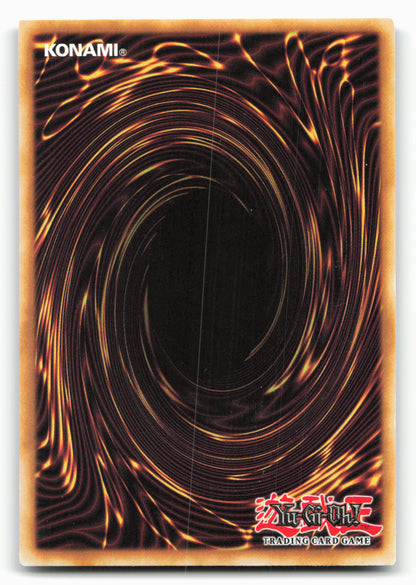 2013 Zexal Collection Tin #ZTIN-EN016 Accellight
