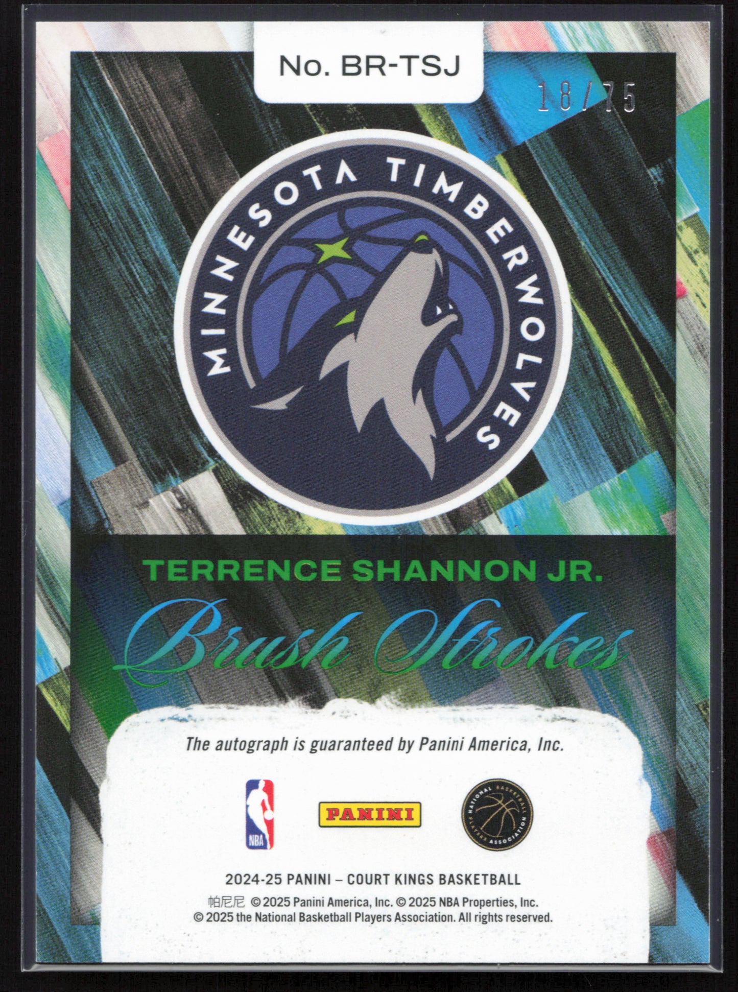 2024-25 Panini Court Kings #BR-TSJ Terrence Shannon Jr. Brush Strokes Ruby #/75