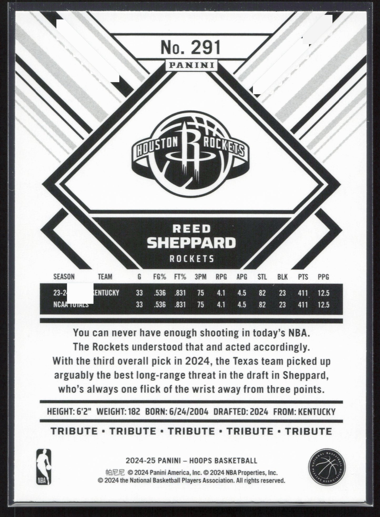 2024-25 Hoops #291 Reed Sheppard NM