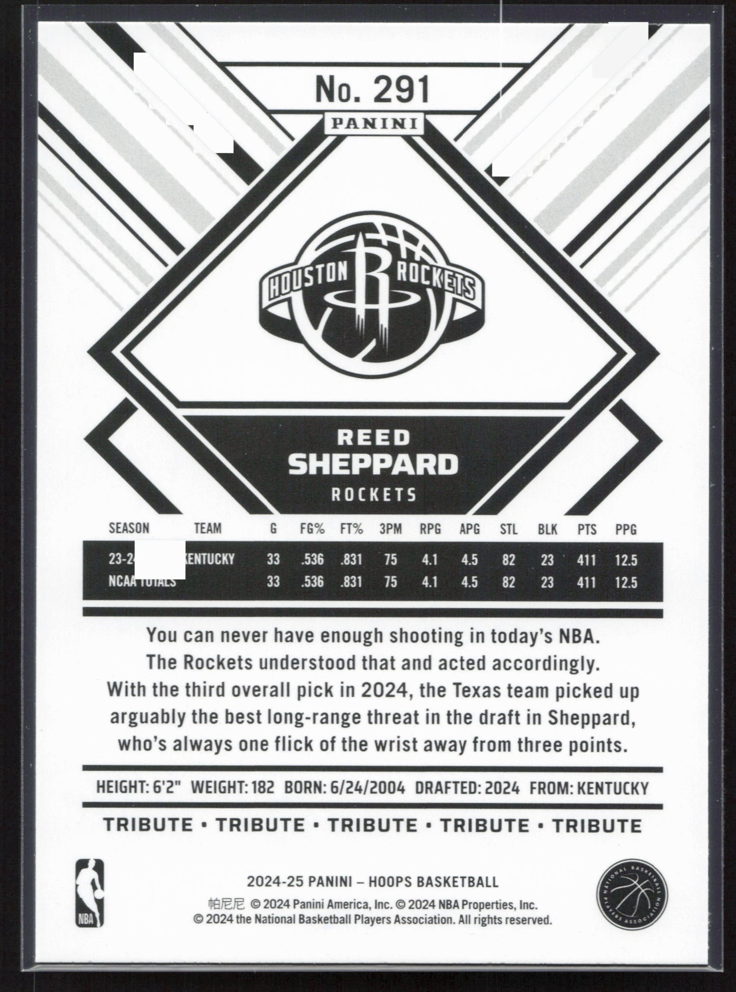 2024-25 Hoops #291 Reed Sheppard NM291