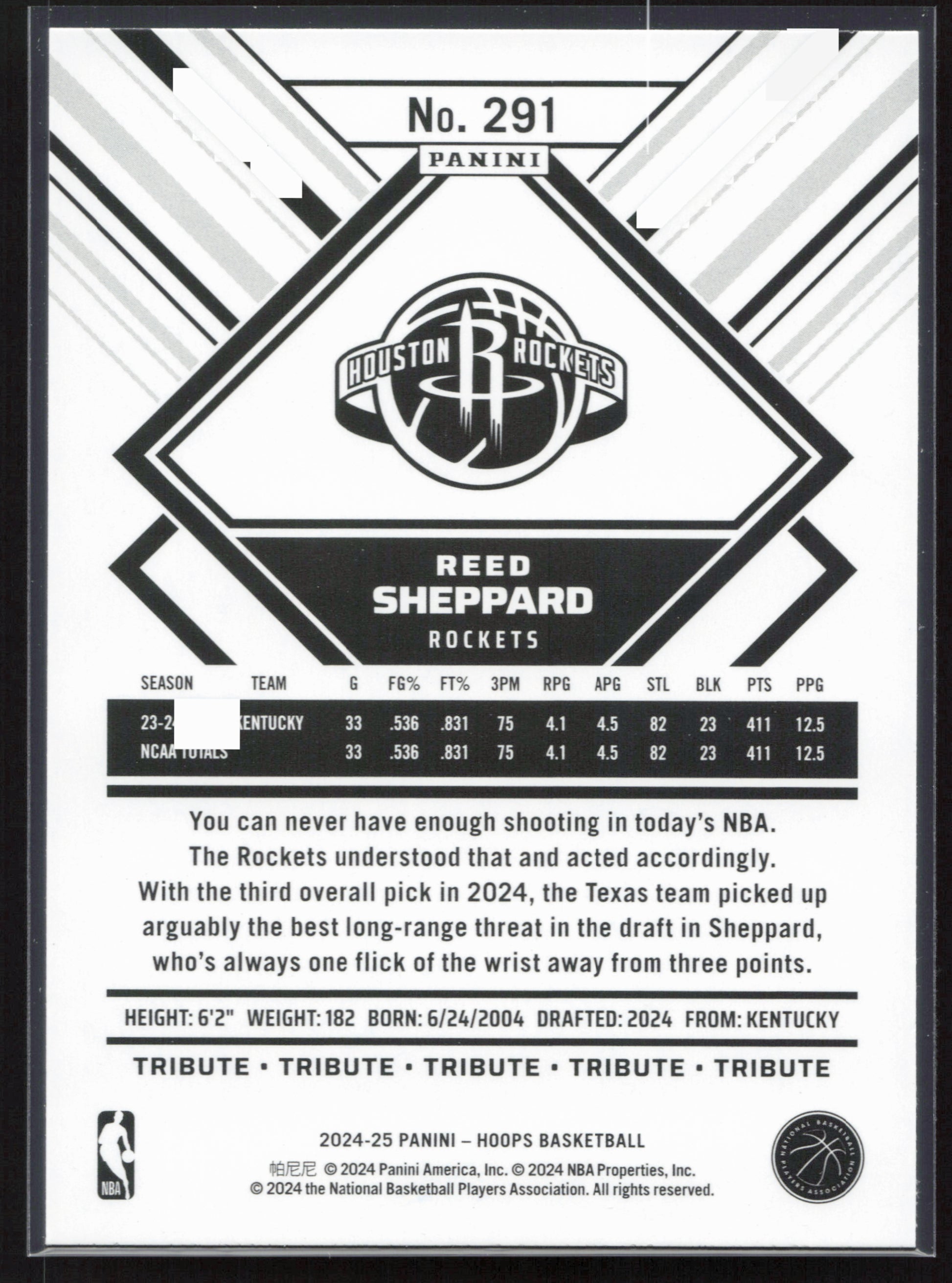 2024-25 Hoops #291 Reed Sheppard NM291