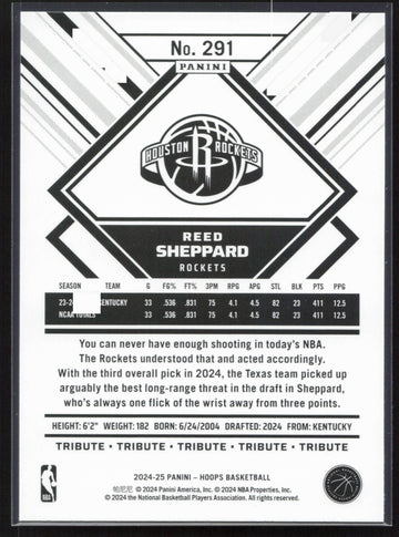 
2024-25 Hoops #291 Reed Sheppard NM291