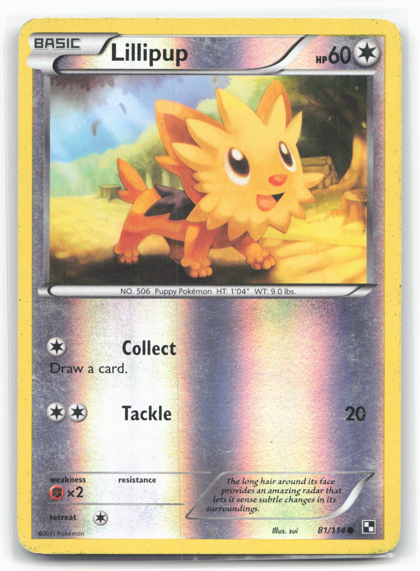 Black and White #81/114 Lillipup (81) 18260 Holo
