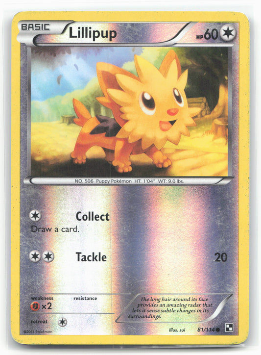 Black and White #81/114 Lillipup (81) 18260 Holo