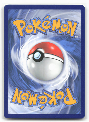 SWSH: Sword & Shield Promo Cards #SWSH234 Pikachu Holo 18326