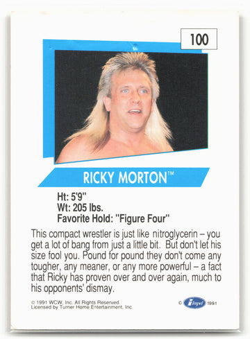 1991 Impel WCW #100 Ricky Morton