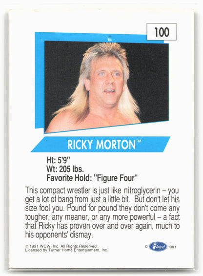 1991 Impel WCW #100 Ricky Morton
