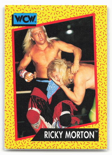 1991 Impel WCW #100 Ricky Morton