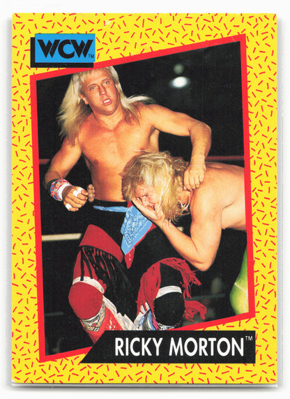 1991 Impel WCW #100 Ricky Morton