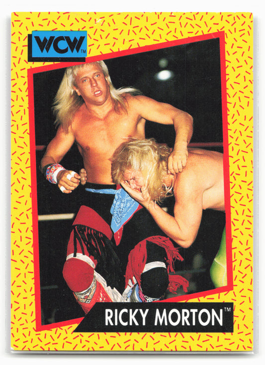 1991 Impel WCW #100 Ricky Morton