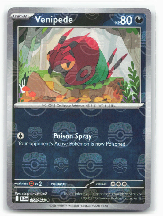 Venipede - (Master Ball Pattern) 054/086 Sv11b: Black Bolt Holo
