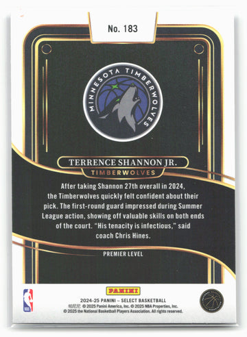 
2024-25 Panini Select #183 Terrence Shannon Jr. 19553