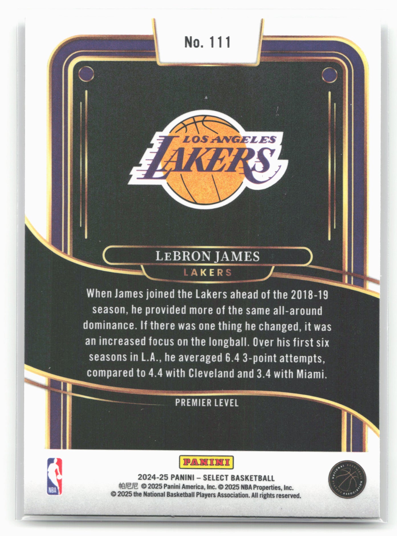 2024-25 Panini Select #111 LeBron James 19663