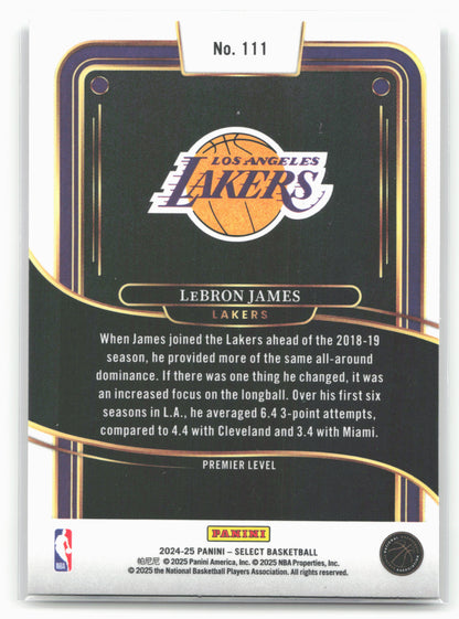 2024-25 Panini Select #111 LeBron James 19663