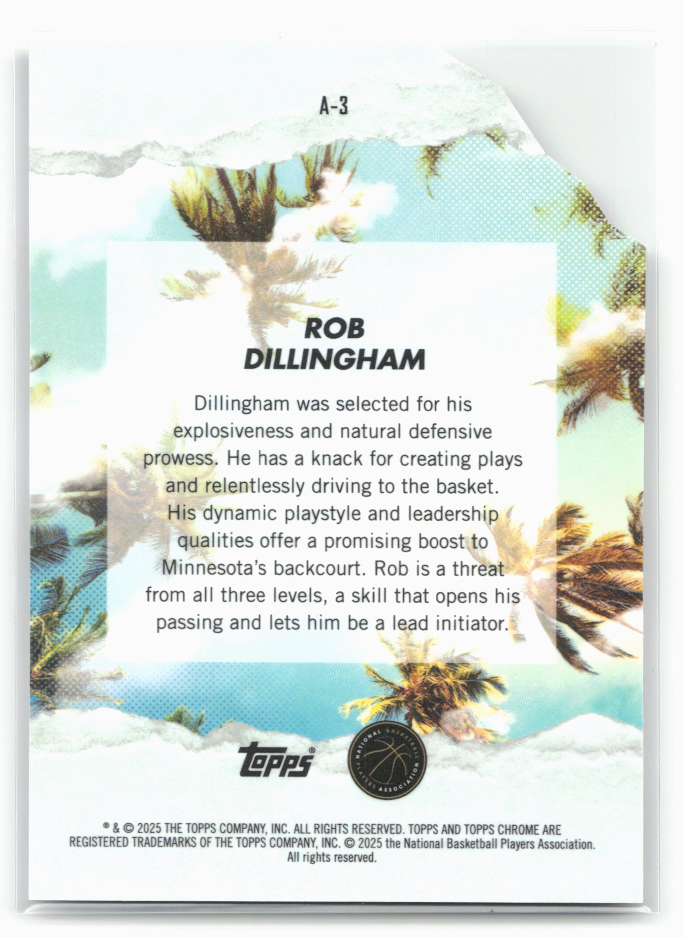 2024-25 Finest #A-3 Rob Dillingham Arrivals 19789