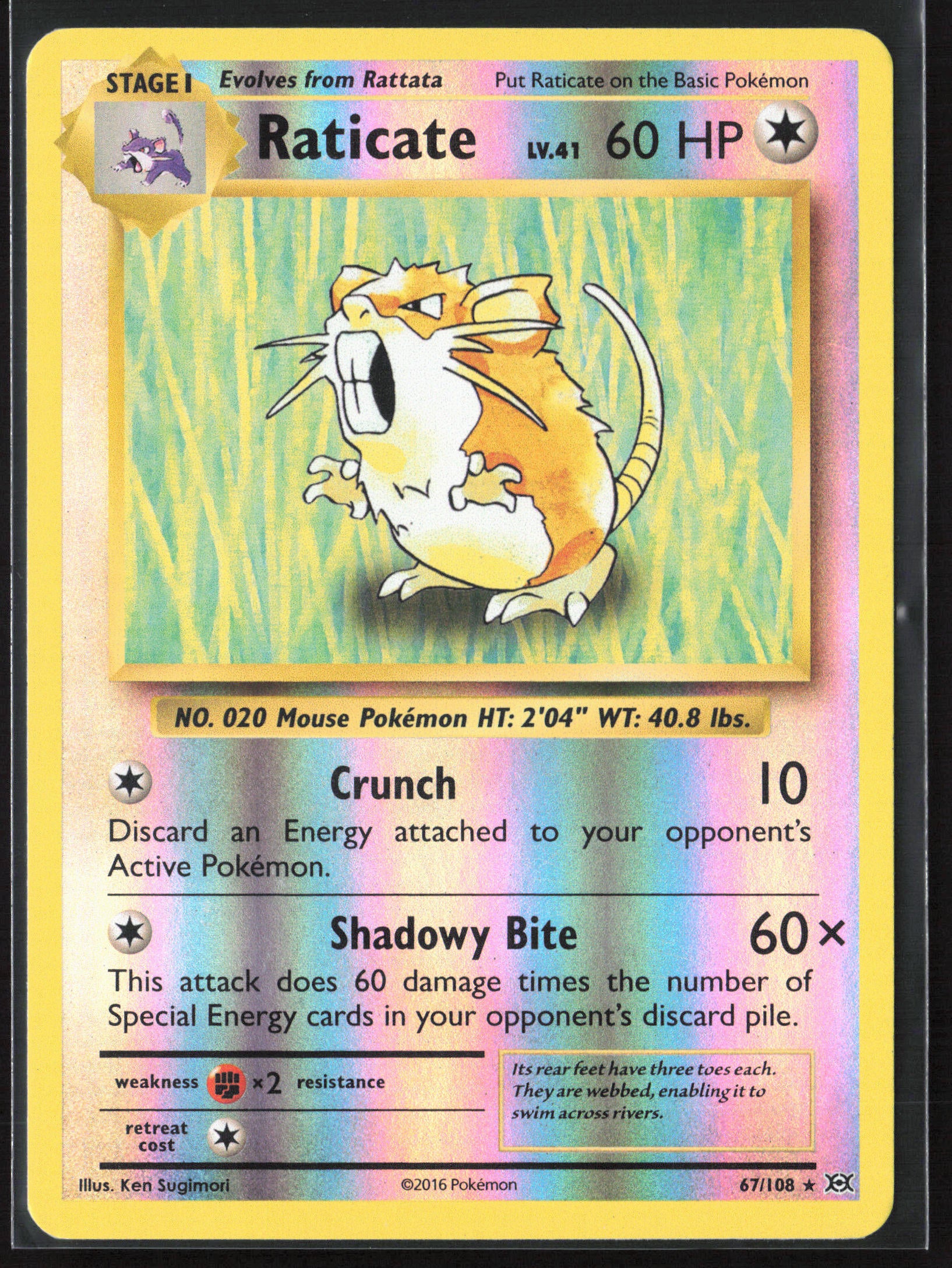 XY - Evolutions #67/108 Raticate 21735 Reverse Holo