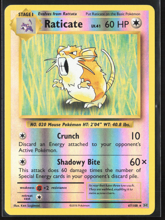 XY - Evolutions #67/108 Raticate 21735 Reverse Holo