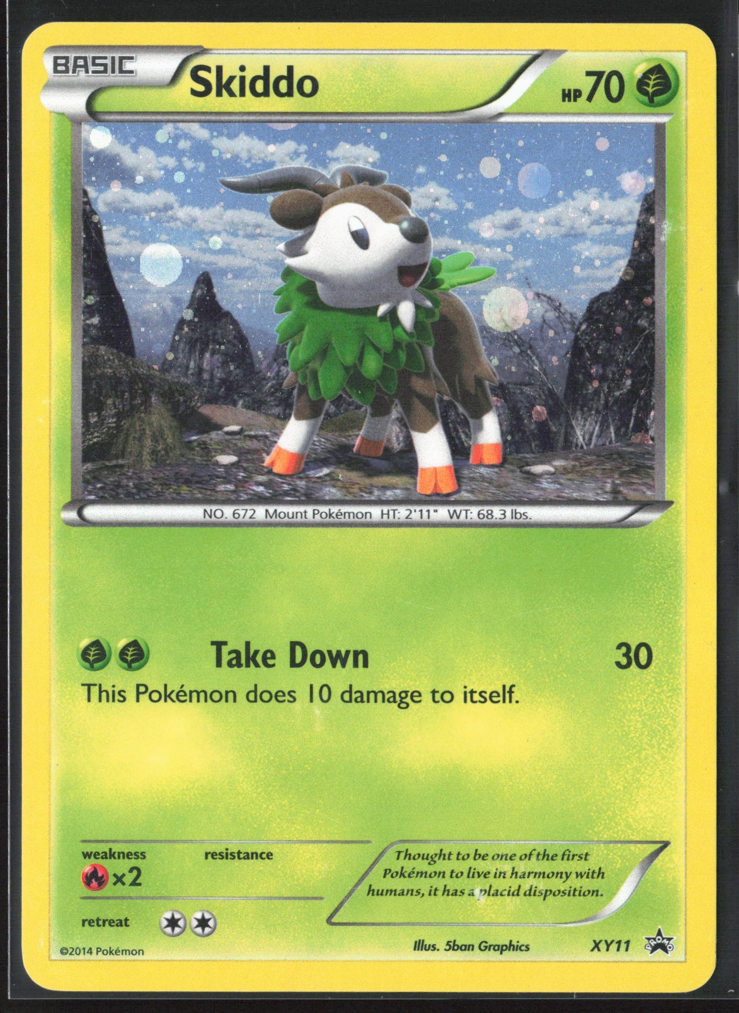 XY Promos #XY11 Skiddo Holo 23265
