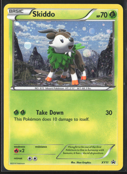XY Promos #XY11 Skiddo Holo 23265