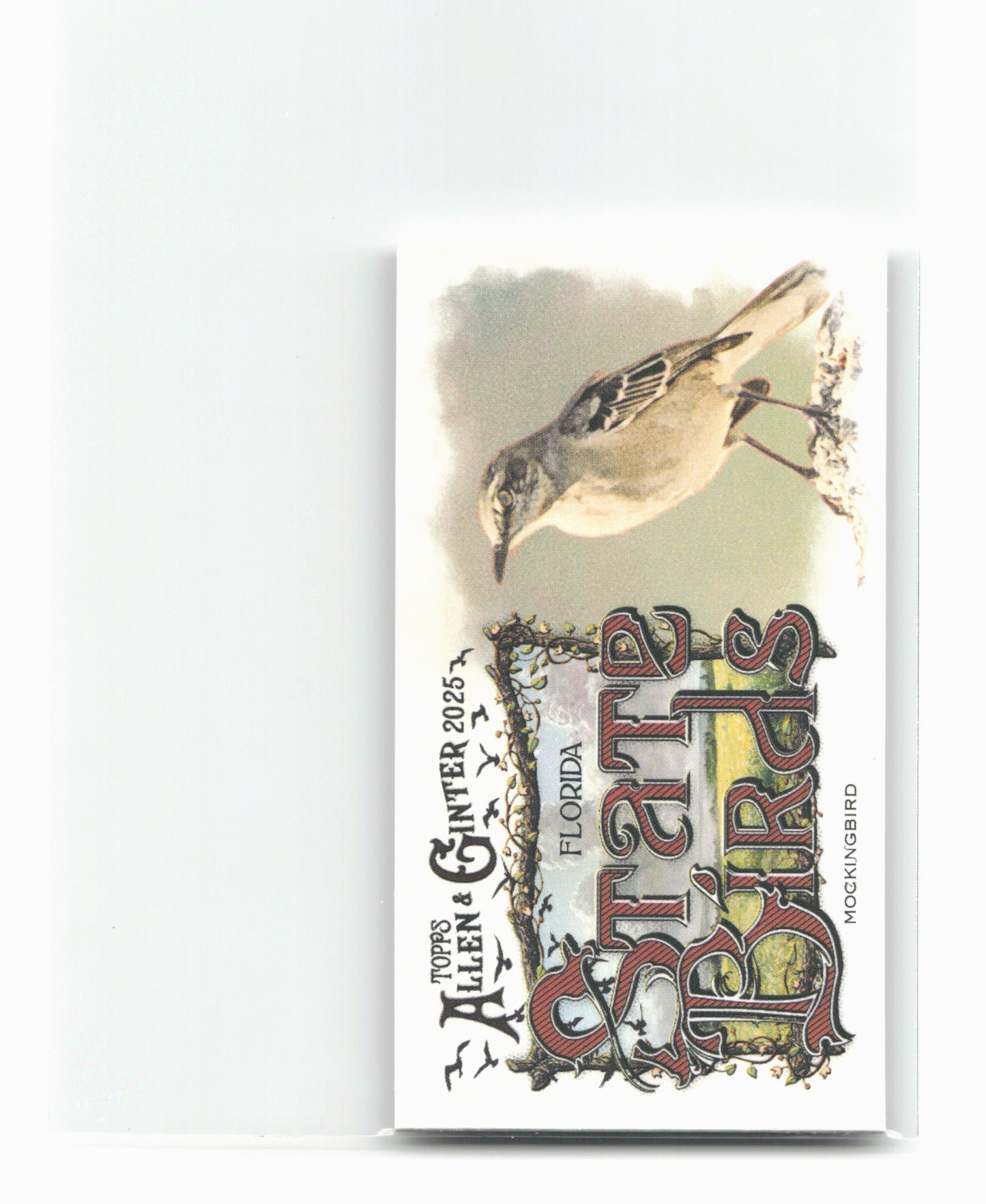 2025 Topps Allen & Ginter #SB-9 Mockingbird (Florida) State Birds Mini
