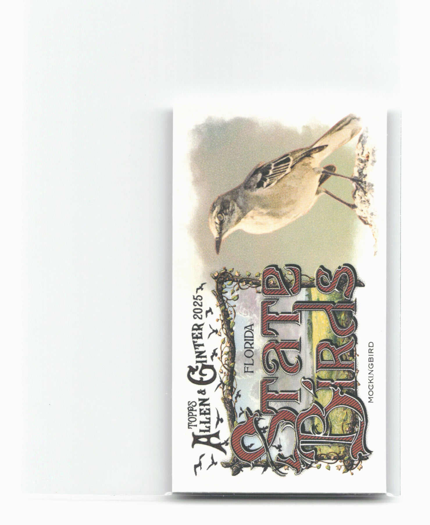 2025 Topps Allen & Ginter #SB-9 Mockingbird (Florida) State Birds Mini