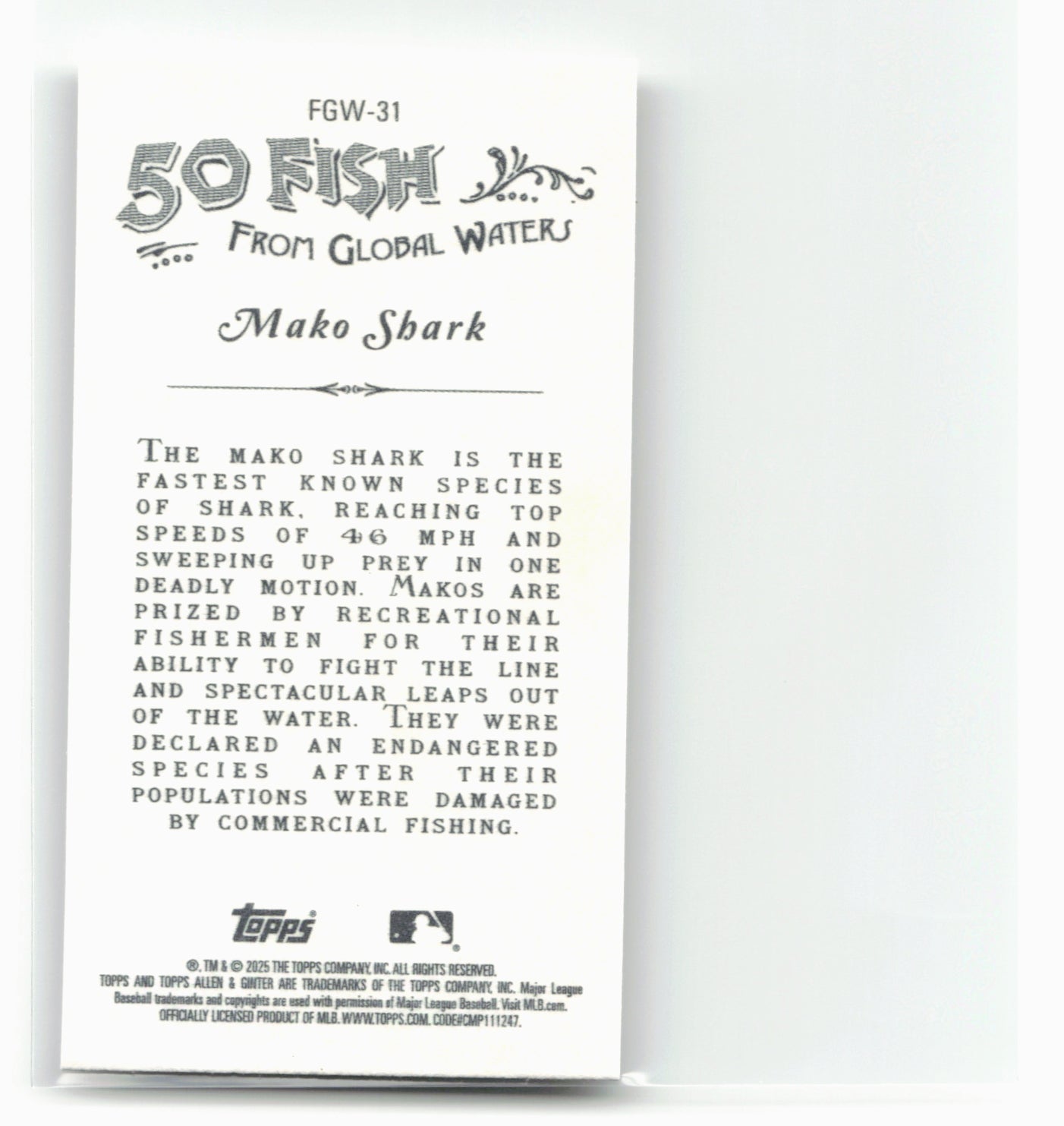 2025 Topps Allen & Ginter #FGW-31 Mako Shark 50 Fishes from Global Waters Mini