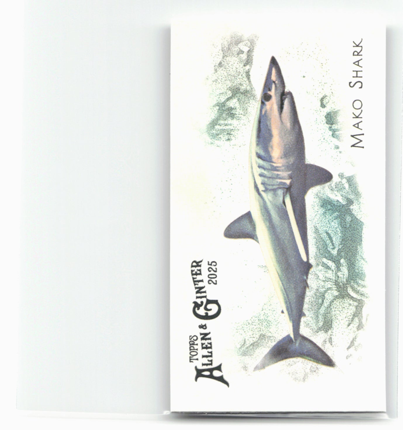 2025 Topps Allen & Ginter #FGW-31 Mako Shark 50 Fishes from Global Waters Mini