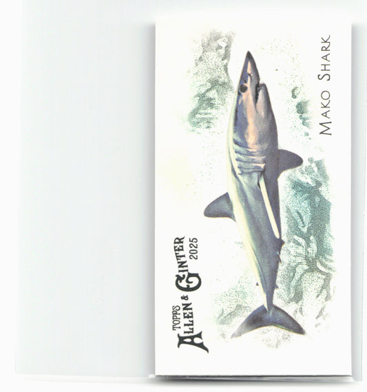 2025 Topps Allen & Ginter #FGW-31 Mako Shark 50 Fishes from Global Waters Mini