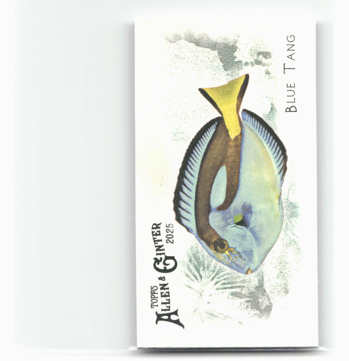 2025 Topps Allen & Ginter #FGW-6 Blue Tang 50 Fishes from Global Waters Mini