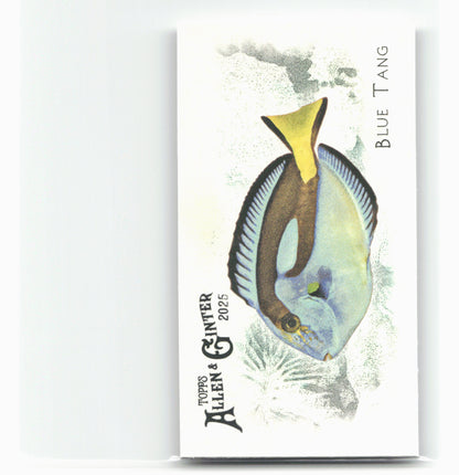 2025 Topps Allen & Ginter #FGW-6 Blue Tang 50 Fishes from Global Waters Mini