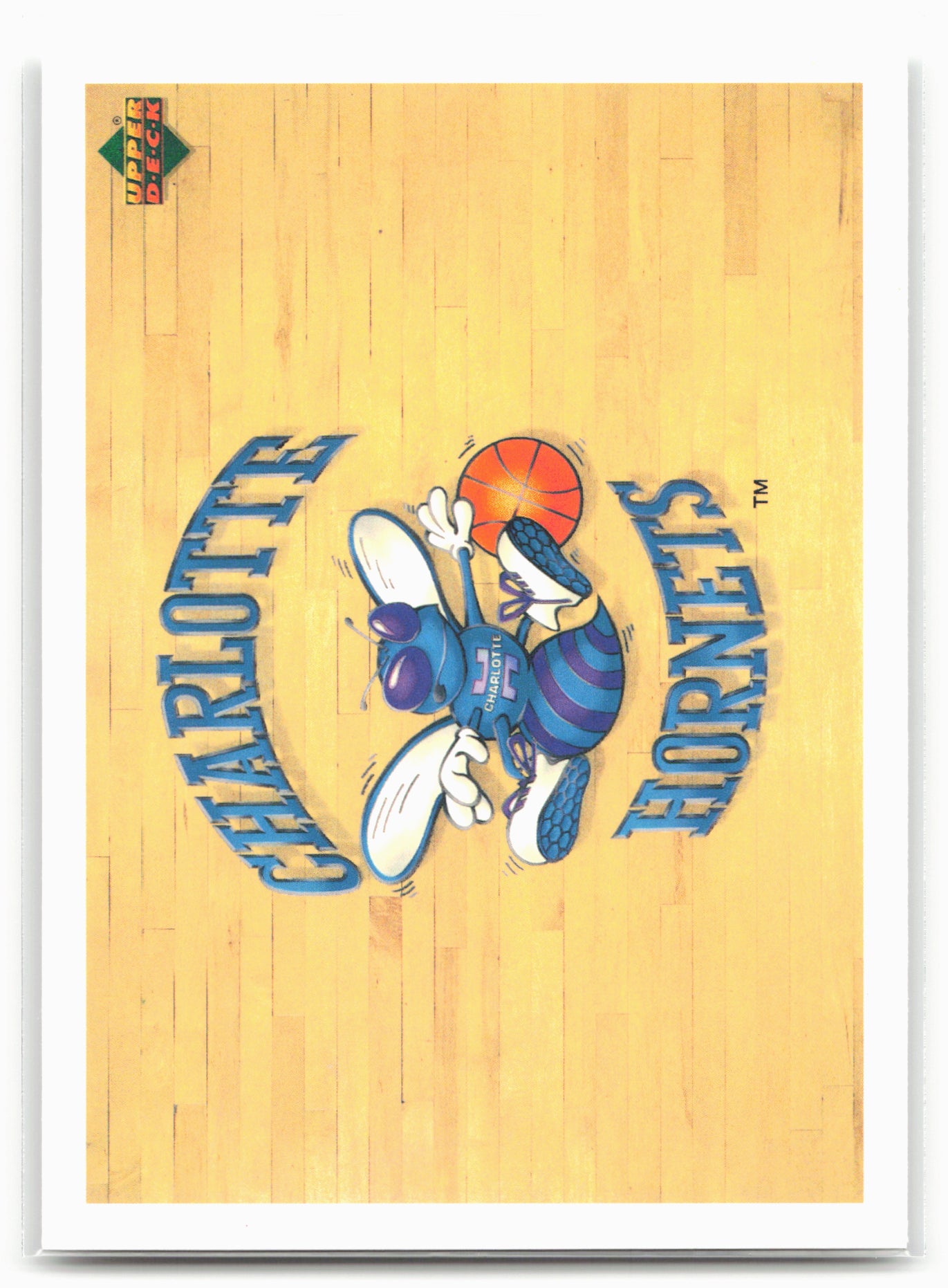 1991-92 Upper Deck Spanish #133 Charlotte Hornets Team History 24676