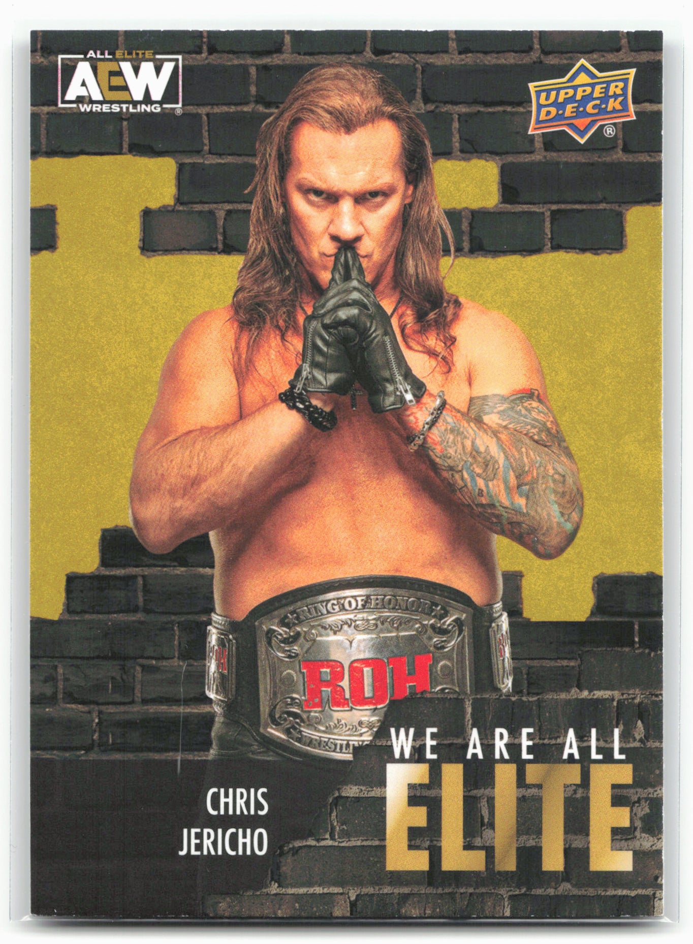 2023 Upper Deck AEW #AE-3 Chris Jericho We Are All Elite