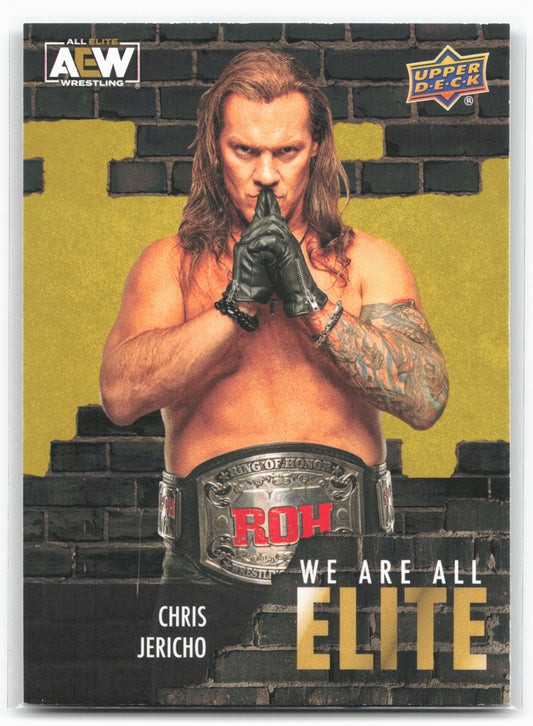 2023 Upper Deck AEW #AE-3 Chris Jericho We Are All Elite