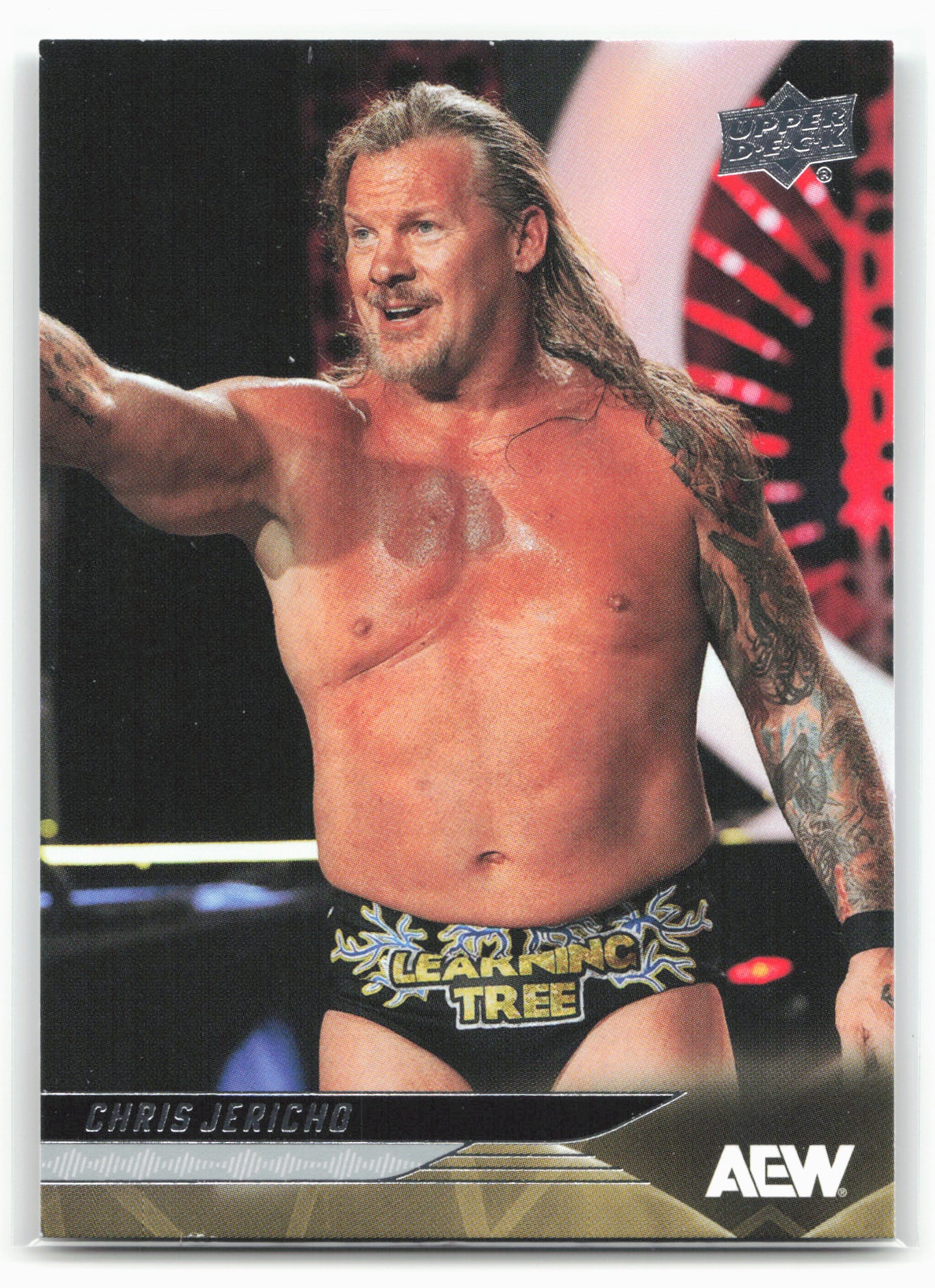 2025 Upper Deck AEW #18 Chris Jericho