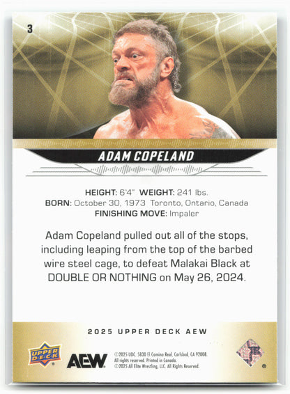 2025 Upper Deck AEW #3 Adam Copeland