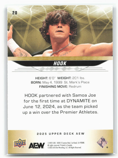 2025 Upper Deck AEW #20 Hook