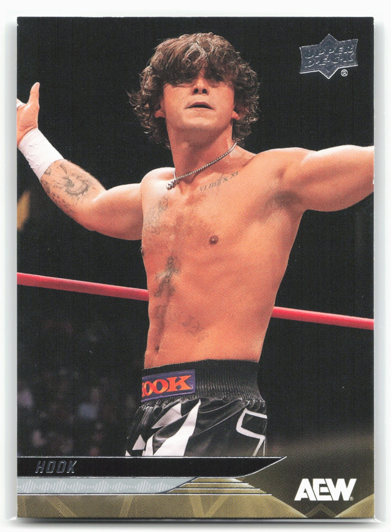 2025 Upper Deck AEW #20 Hook