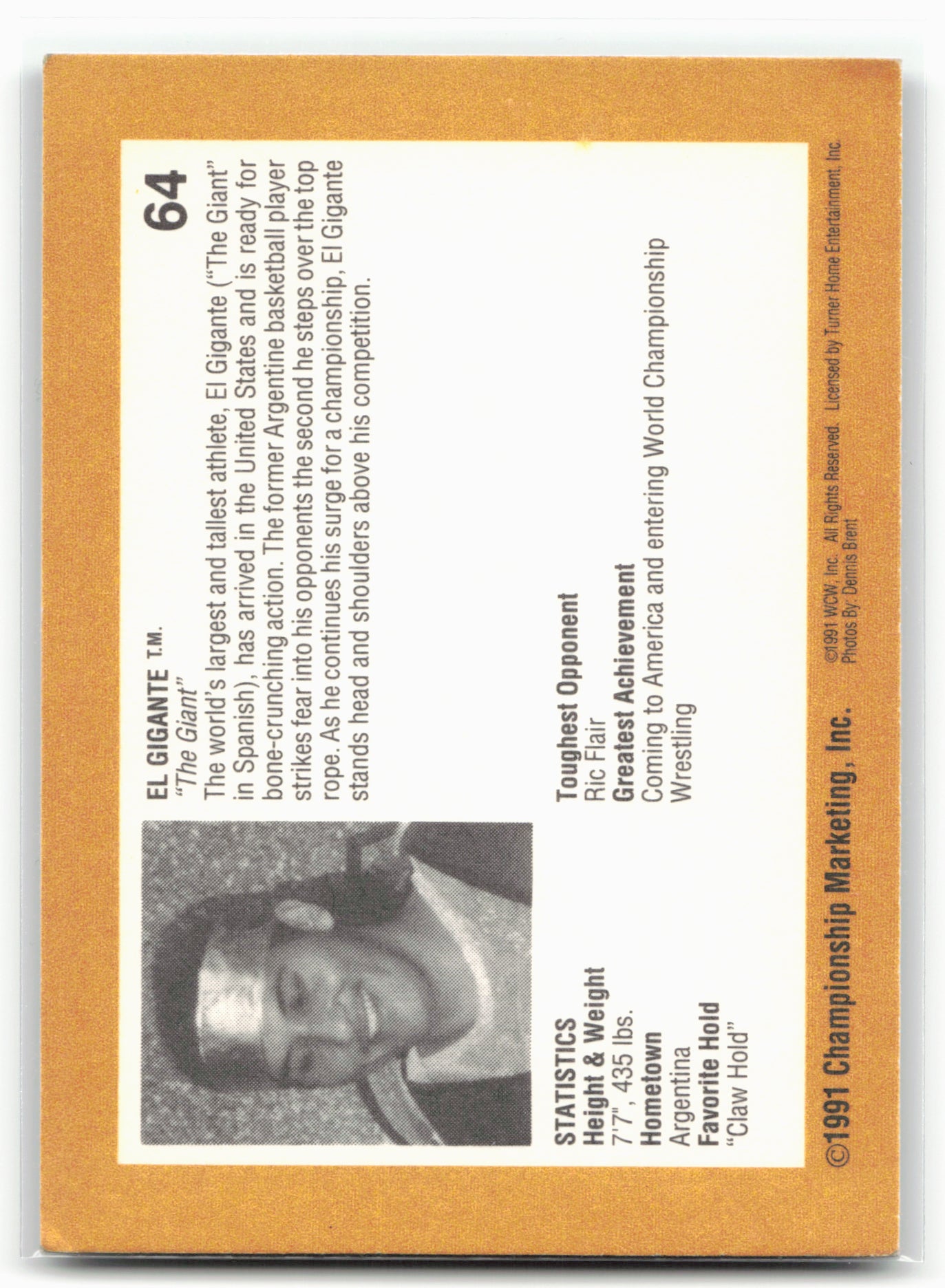 1991 Championship Marketing WCW #64 No Sid This High