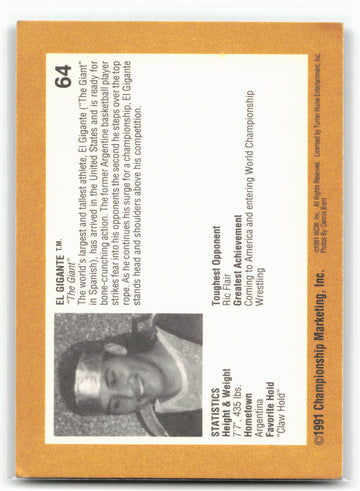 1991 Championship Marketing WCW #64 No Sid This High